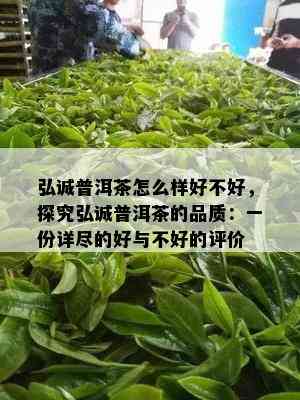 弘诚普洱茶怎么样好不好，探究弘诚普洱茶的品质：一份详尽的好与不好的评价