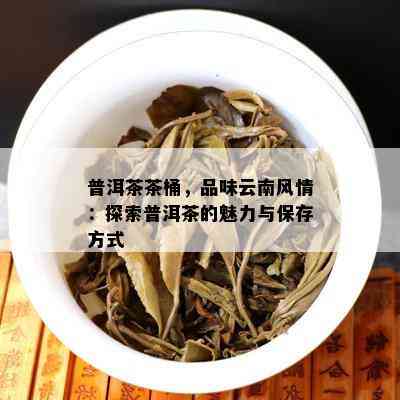 普洱茶茶桶，品味云南风情：探索普洱茶的魅力与保存方法