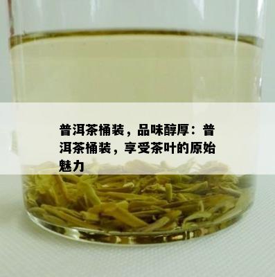 普洱茶桶装，品味醇厚：普洱茶桶装，享受茶叶的原始魅力