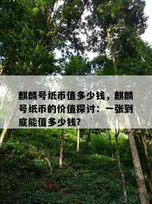 麒麟号纸币值多少钱，麒麟号纸币的价值探讨：一张到底能值多少钱？