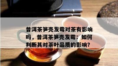 普洱茶笋壳发霉对茶有影响吗，普洱茶笋壳发霉：如何判断其对茶叶品质的影响？