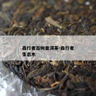 森行者古树普洱茶-森行者生态木