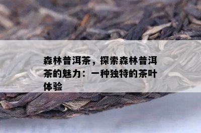 森林普洱茶，探索森林普洱茶的魅力：一种独特的茶叶体验