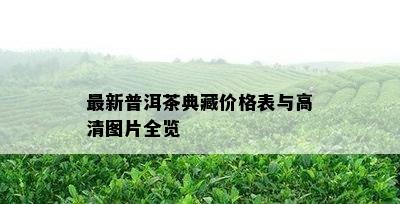 最新普洱茶典藏价格表与高清图片全览