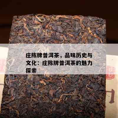 庄陈牌普洱茶，品味历史与文化：庄陈牌普洱茶的魅力探索