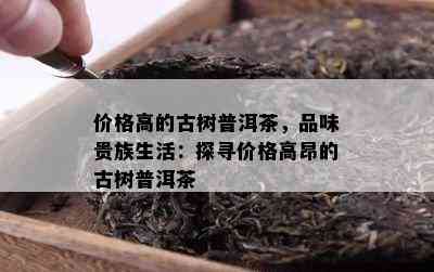 价格高的古树普洱茶，品味贵族生活：探寻价格高昂的古树普洱茶