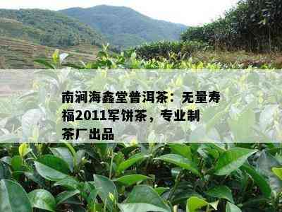 南涧海鑫堂普洱茶：无量寿福2011军饼茶，专业制茶厂出品