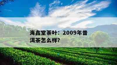 海鑫堂茶叶：2009年普洱茶怎么样？