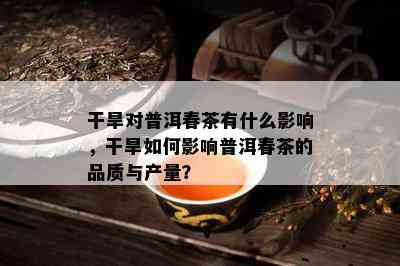 干旱对普洱春茶有什么影响，干旱如何影响普洱春茶的品质与产量？