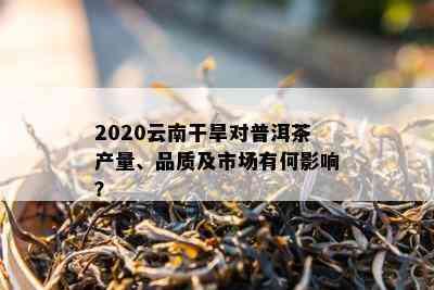 2020云南干旱对普洱茶产量、品质及市场有何作用？