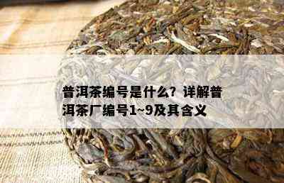 普洱茶编号是什么？详解普洱茶厂编号1~9及其含义