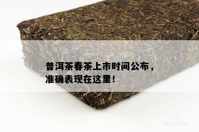 普洱茶春茶上市时间公布，准确表现在这里！