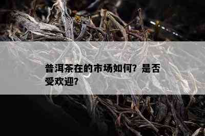 普洱茶在的市场如何？是否受欢迎？