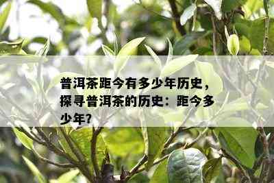 普洱茶距今有多少年历史，探寻普洱茶的历史：距今多少年？