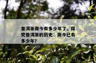 普洱茶距今有多少年了，探究普洱茶的历史：距今已有多少年？