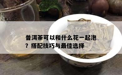 普洱茶可以和什么花一起泡？搭配技巧与更佳选择