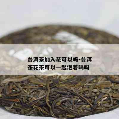 普洱茶加入花可以吗-普洱茶花茶可以一起泡着喝吗