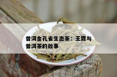 普洱金孔雀生态茶：王霞与普洱茶的故事