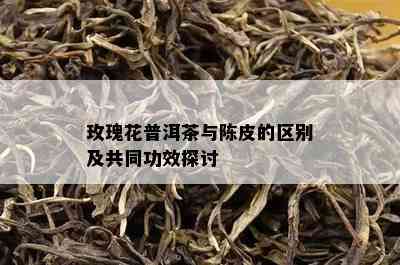 玫瑰花普洱茶与陈皮的区别及共同功效探讨