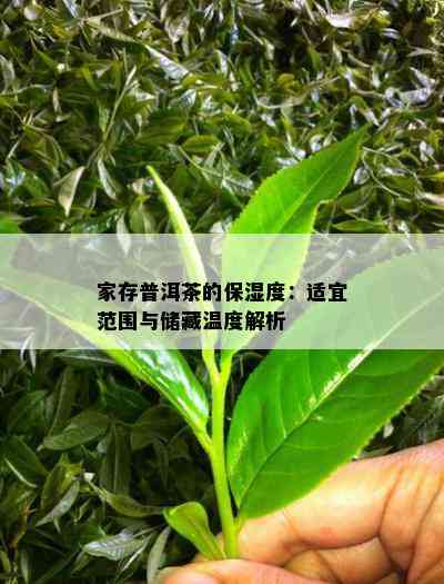 家存普洱茶的保湿度：适宜范围与储藏温度解析