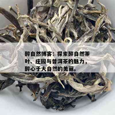 醉自然博客：探索醉自然茶叶、庄园与普洱茶的魅力，醉心于大自然的美丽。