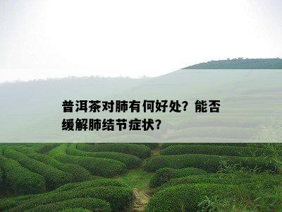 普洱茶对肺有何好处？能否缓解肺结节症状？