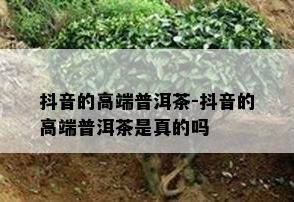 抖音的高端普洱茶-抖音的高端普洱茶是真的吗