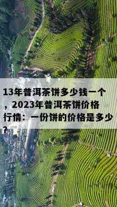 13年普洱茶饼多少钱一个，2023年普洱茶饼价格行情：一份饼的价格是多少？