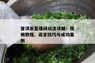 普洱茶直播间玩法详解：视频教程、语言技巧与成功案例