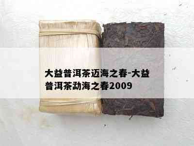 大益普洱茶迈海之春-大益普洱茶勐海之春2009