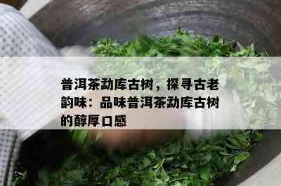 普洱茶勐库古树，探寻古老韵味：品味普洱茶勐库古树的醇厚口感