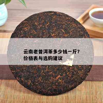 云南老普洱茶多少钱一斤？价格表与选购建议