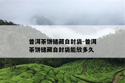 普洱茶饼储藏自封袋-普洱茶饼储藏自封袋能放多久