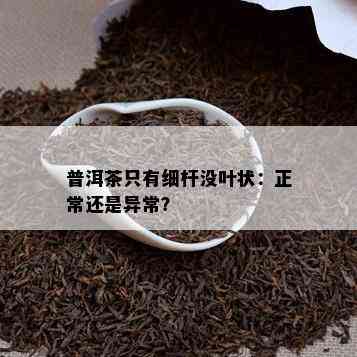 普洱茶只有细杆没叶状：正常还是异常？