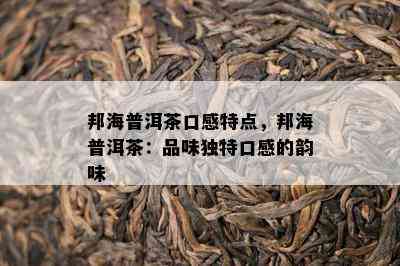 邦海普洱茶口感特点，邦海普洱茶：品味特别口感的韵味