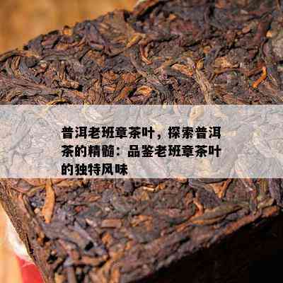 普洱老班章茶叶，探索普洱茶的精髓：品鉴老班章茶叶的特别风味