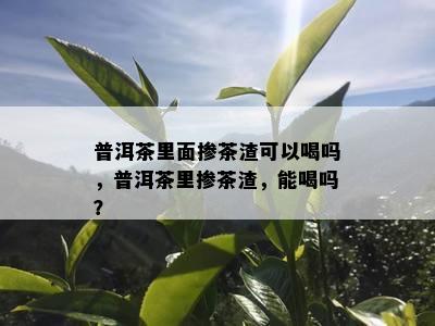 普洱茶里面掺茶渣可以喝吗，普洱茶里掺茶渣，能喝吗？