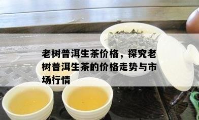 老树普洱生茶价格，探究老树普洱生茶的价格走势与市场行情