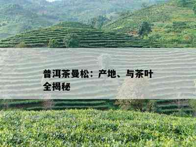 普洱茶曼松：产地、与茶叶全揭秘