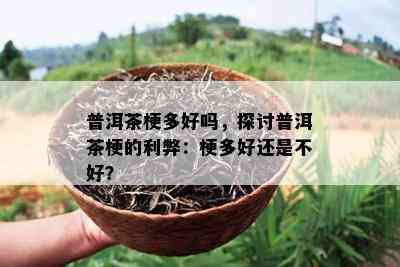 普洱茶梗多好吗，探讨普洱茶梗的利弊：梗多好还是不好？