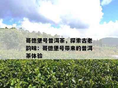 哥德堡号普洱茶，探索古老韵味：哥德堡号带来的普洱茶体验