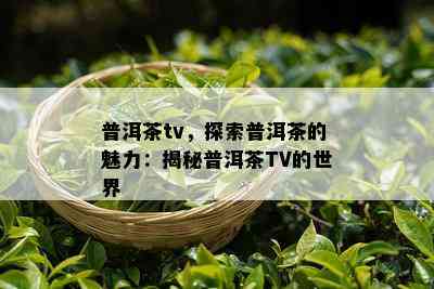 普洱茶tv，探索普洱茶的魅力：揭秘普洱茶TV的世界