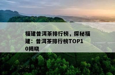 福建普洱茶排行榜，探秘福建：普洱茶排行榜TOP10揭晓