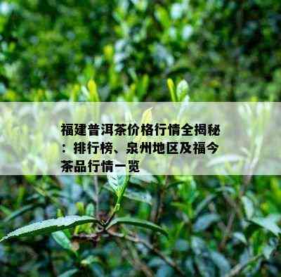 福建普洱茶价格行情全揭秘：排行榜、泉州地区及福今茶品行情一览