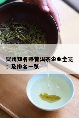 贺州知名熟普洱茶企业全览：及排名一览