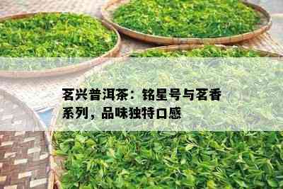 茗兴普洱茶：铭星号与茗香系列，品味独特口感