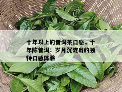 十年以上的普洱茶口感，十年陈普洱：岁月沉淀出的特别口感体验