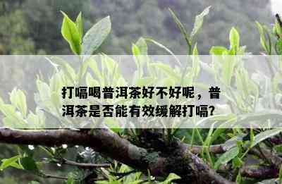 打嗝喝普洱茶好不好呢，普洱茶是不是能有效缓解打嗝？