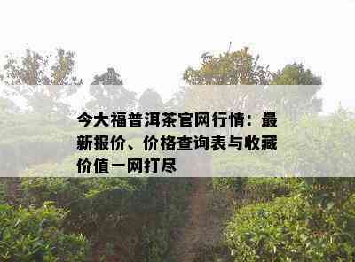 今大福普洱茶官网行情：最新报价、价格查询表与收藏价值一网打尽