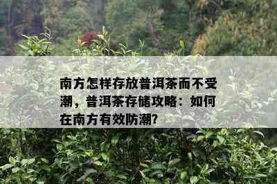 南方怎样存放普洱茶而不受潮，普洱茶存储攻略：怎样在南方有效防潮？